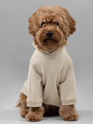 Sweat à capuche pour animal — Signature