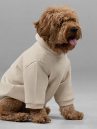 Sweat à capuche pour animal — Signature