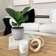 Coussin décoratif — Ruhi tissé main noir et crème