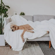 Couverture — Factory Sale: Premier Plush